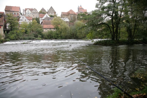 Abfischen ASV Besigheim 2010
